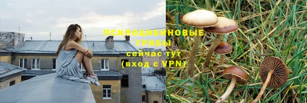круглые Армянск