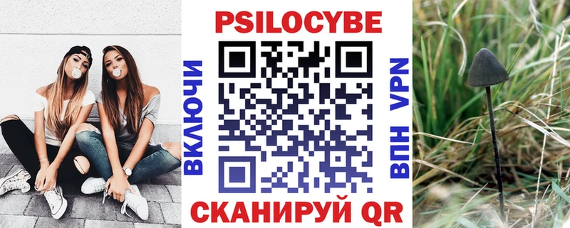Галлюциногенные грибы GOLDEN TEACHER  сколько стоит  Балтийск 