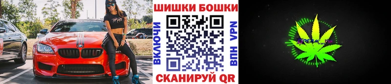 Бошки Шишки семена  Балтийск 